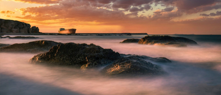 肉質(zhì)鮮美的一種海產(chǎn)品，名字十分有特色